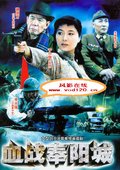 血战奉阳城 海报