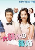 大韩民国律师 海报