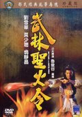 武林圣火令 海报